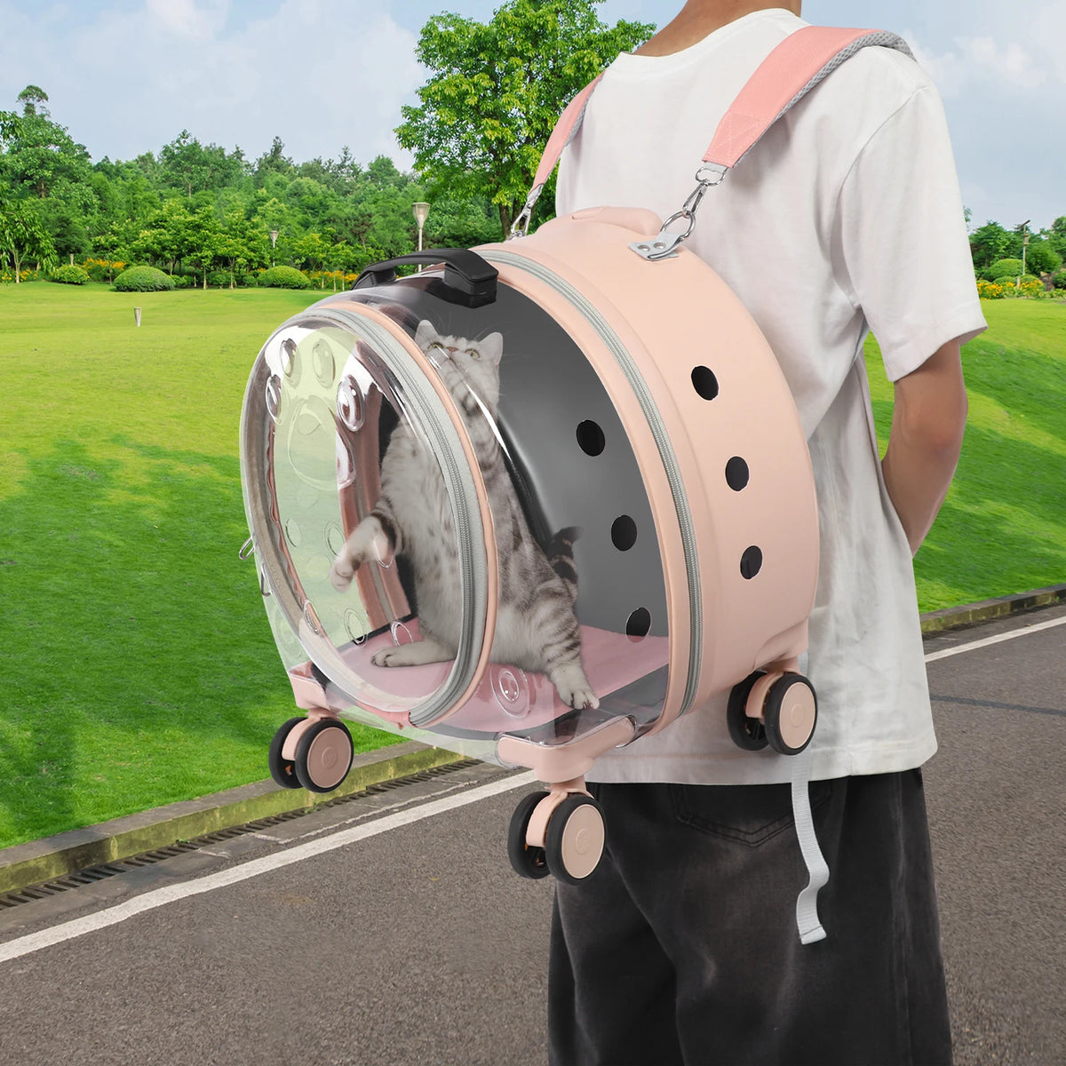 Clear Acrylic Wheeled Pet Travel Suitcase With Telescopic Handle
