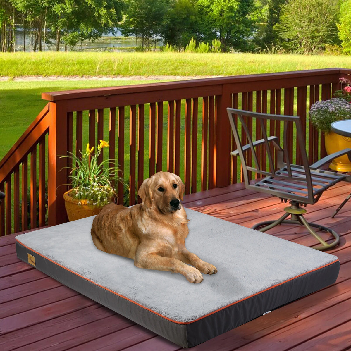 Bingopaw Orthopedic Foam Dog Bed With Washable Cover