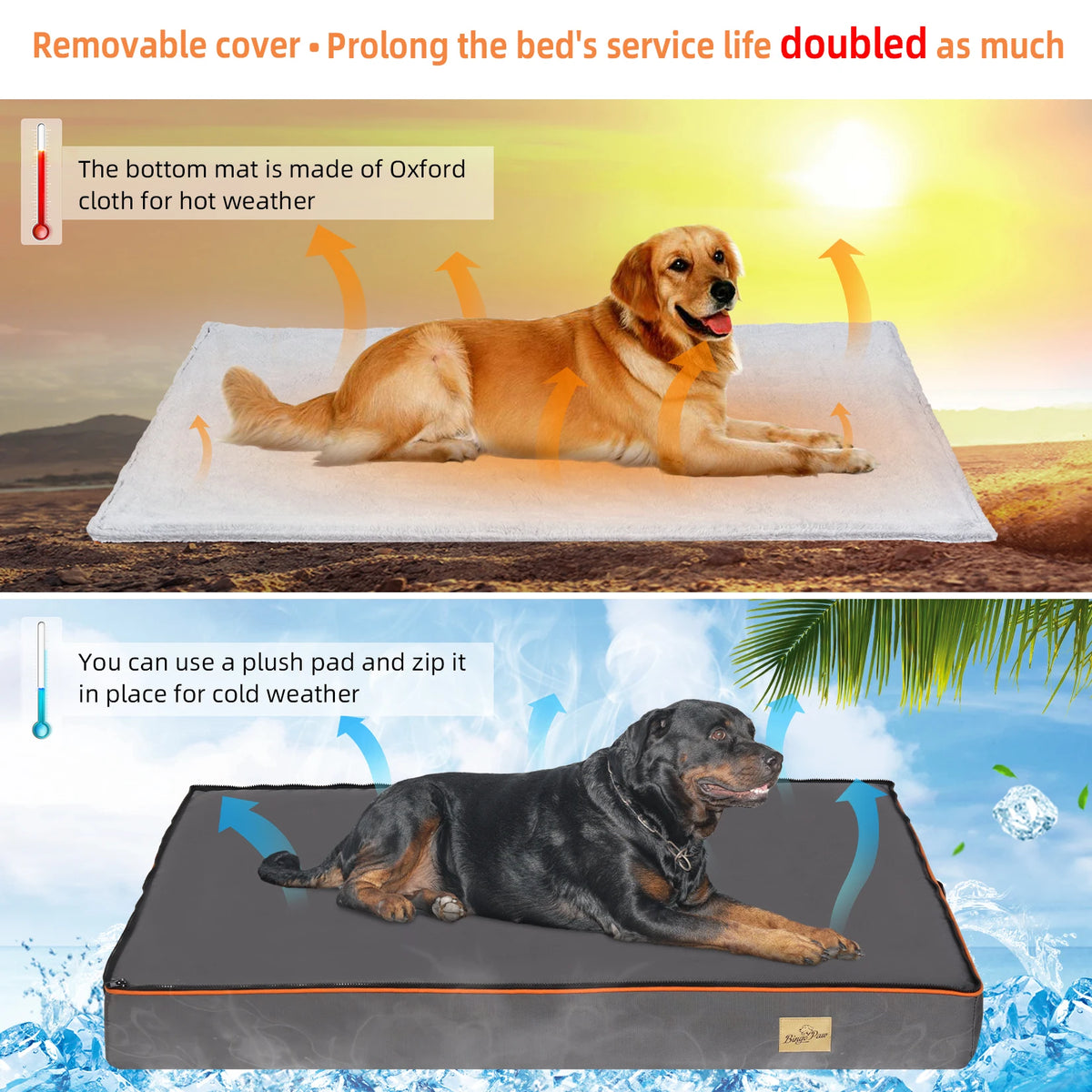 Bingopaw Orthopedic Foam Dog Bed With Washable Cover