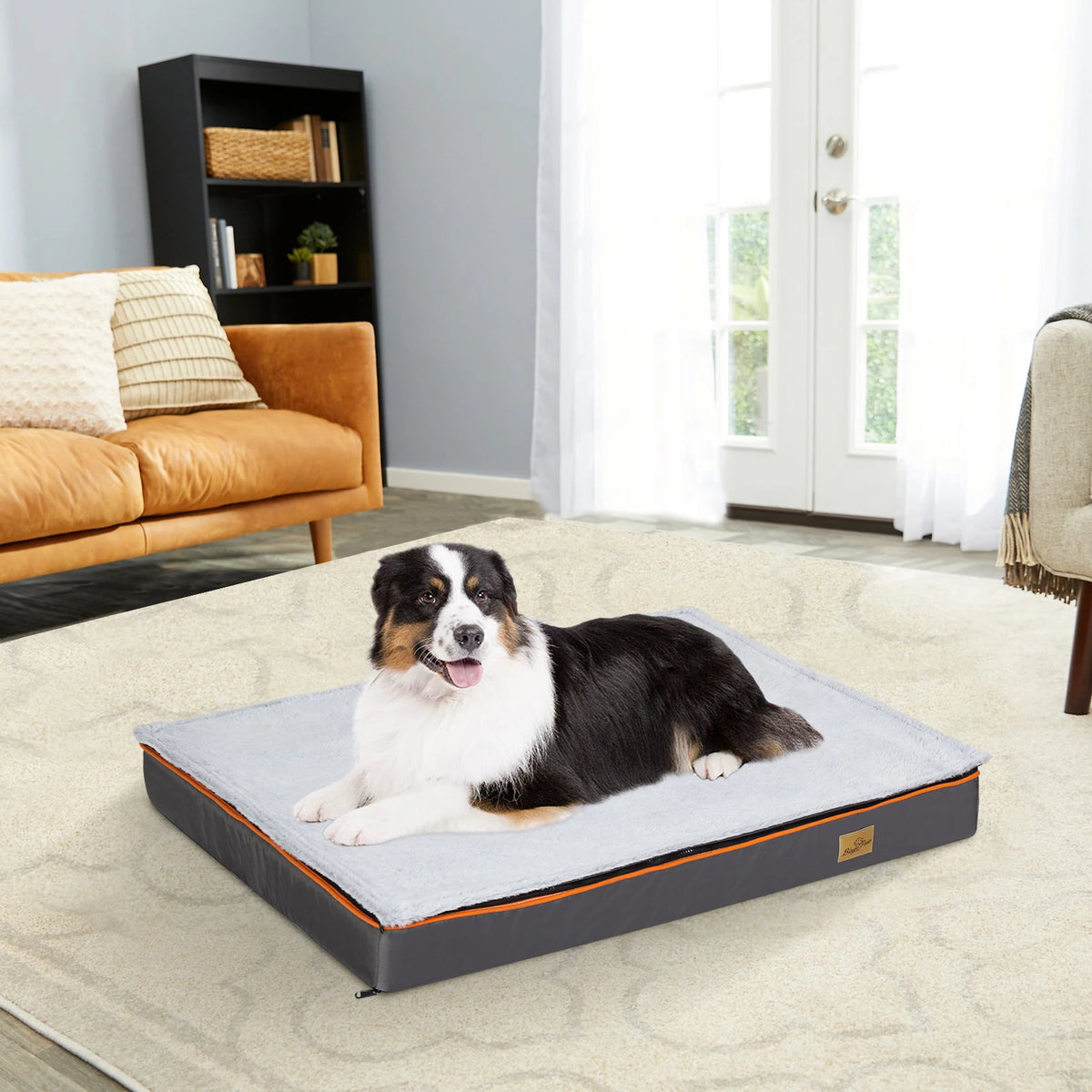 Bingopaw Orthopedic Foam Dog Bed With Washable Cover