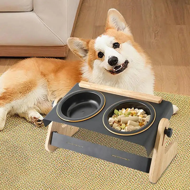 Adjustable Raised Dog Bowls for Camping and Outdoor Feeding