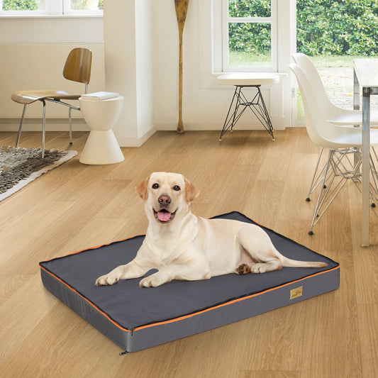 Bingopaw Orthopedic Foam Dog Bed With Washable Cover