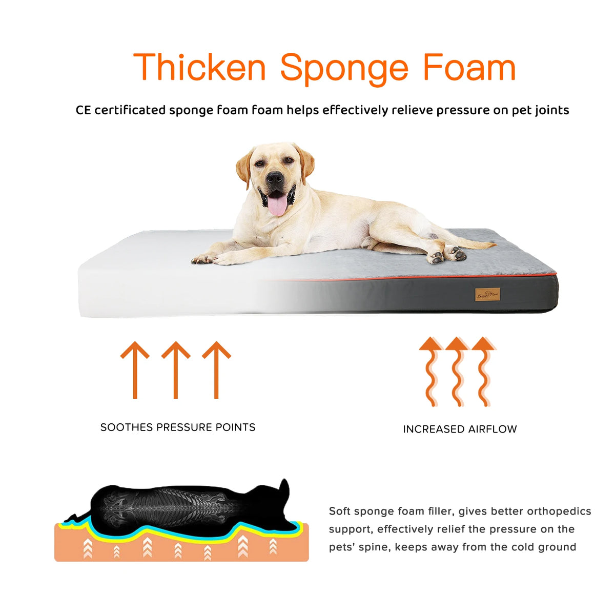 Bingopaw Orthopedic Foam Dog Bed With Washable Cover