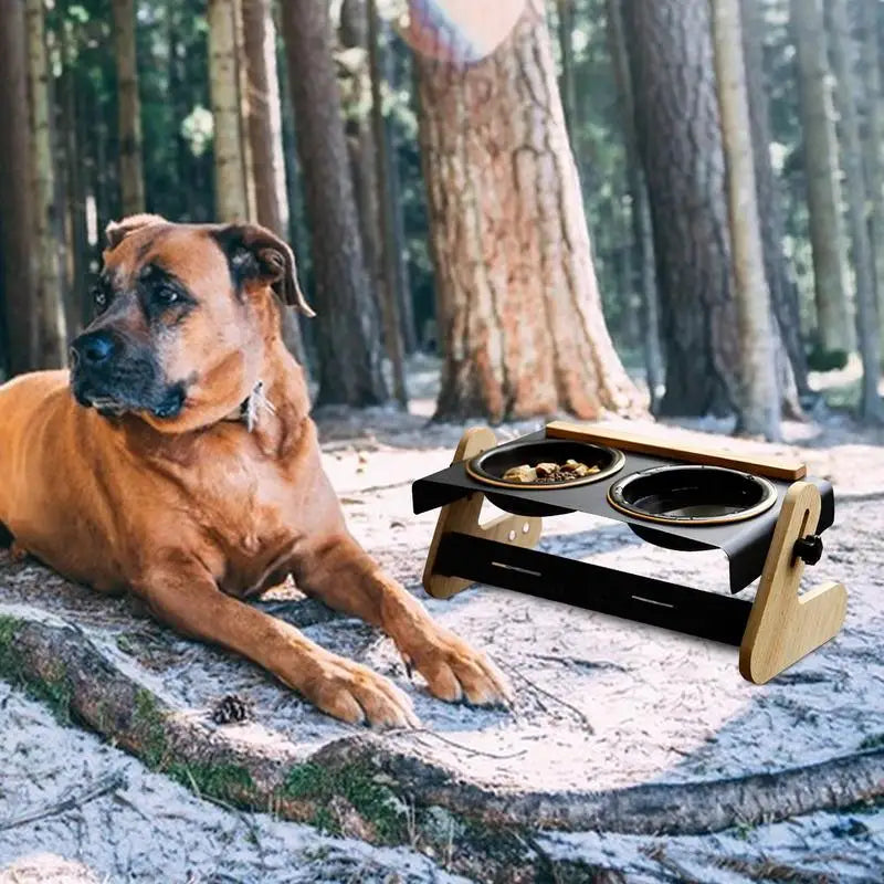 Adjustable Raised Dog Bowls for Camping and Outdoor Feeding