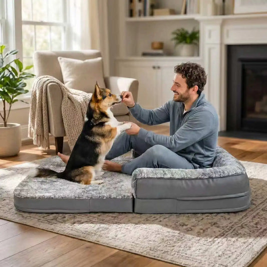 Bingopaw Orthopedic Foldable Human Pet Bed With Washable Cover