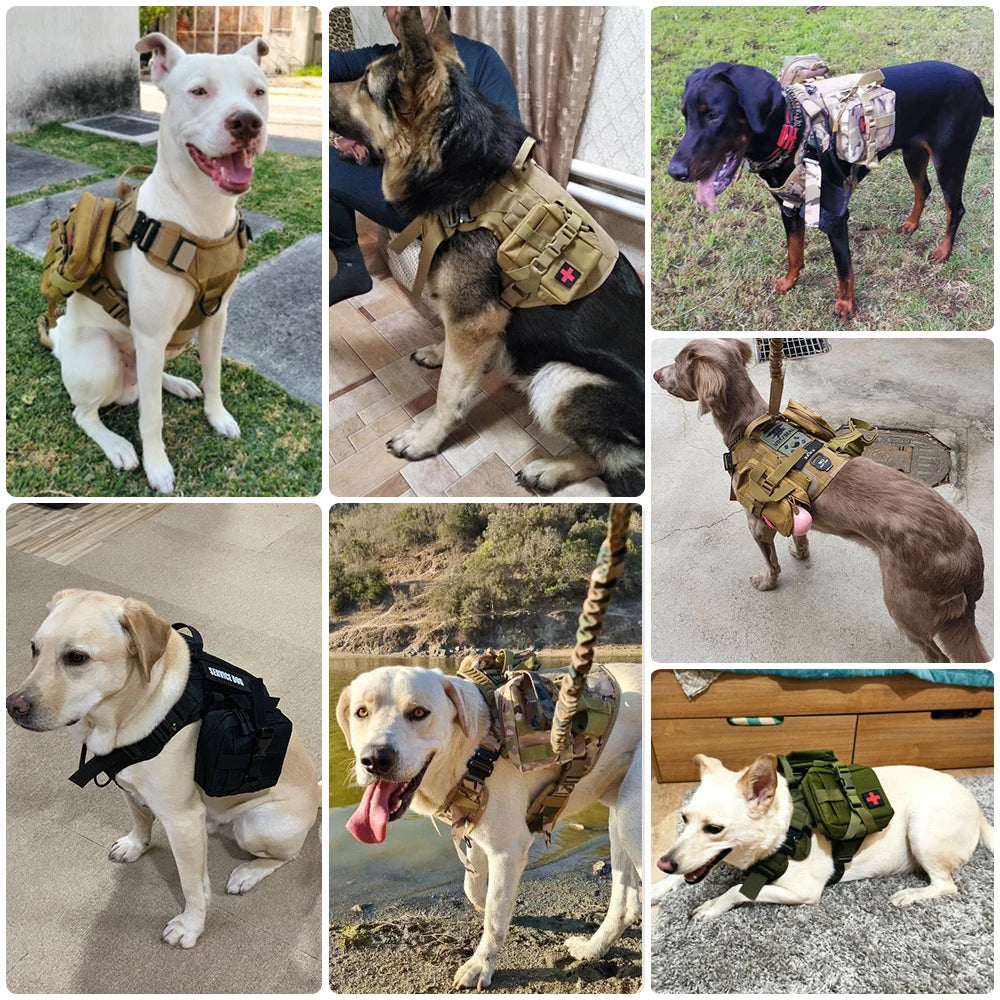 PETRAVEL Tactical Dog Harness and Leash Set for Training and Walks